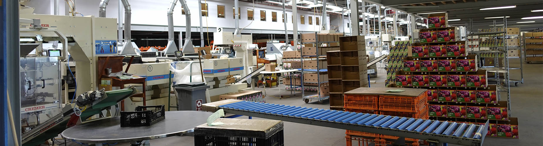 _DSC0031-productie-2